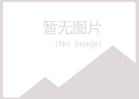 湛江霞山谷雪化学有限公司